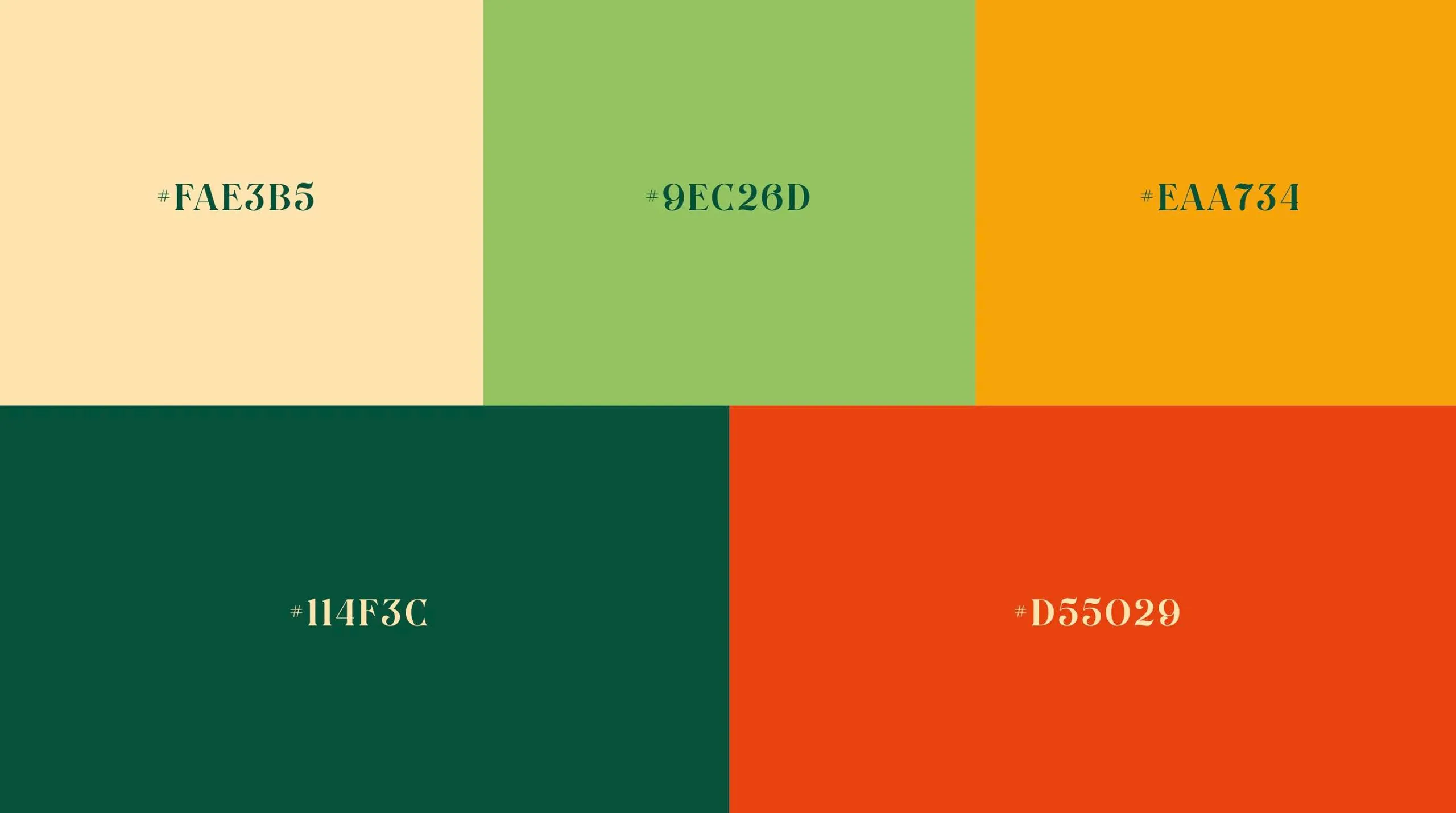 Paleta de colores de San Roque: crema, verde claro, amarillo, verde profundo y naranja
