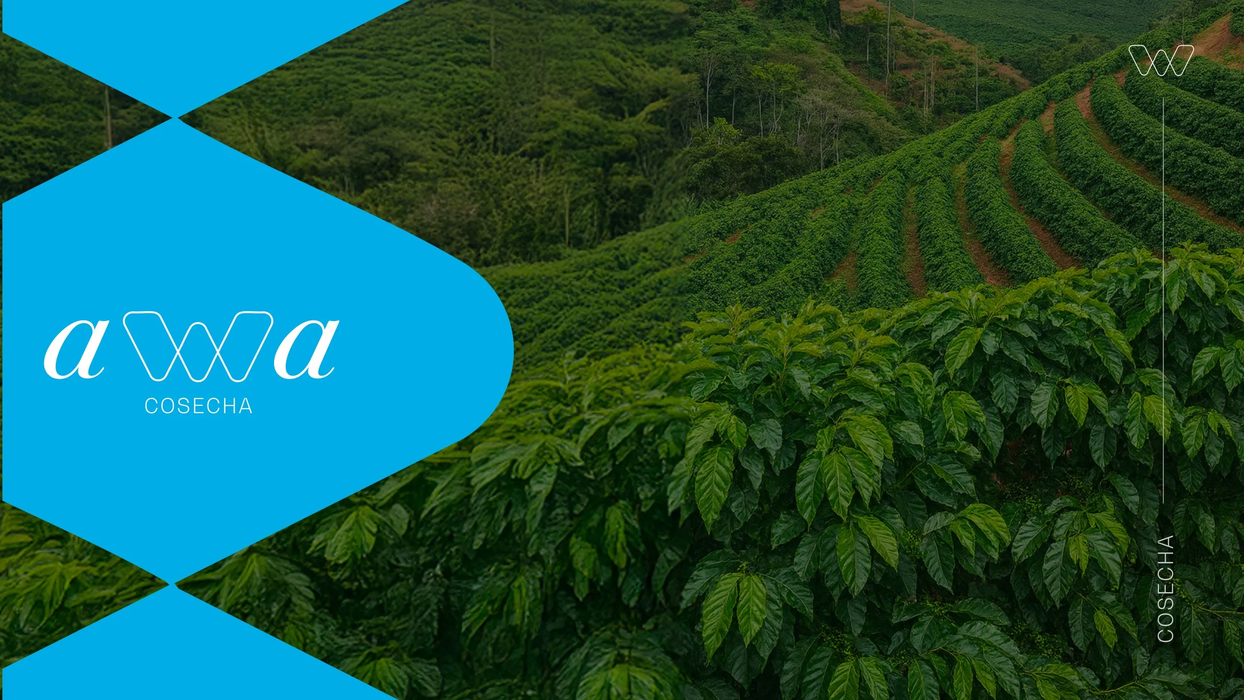 Aplicación de Awa en azul sobre un cultivo en ladera