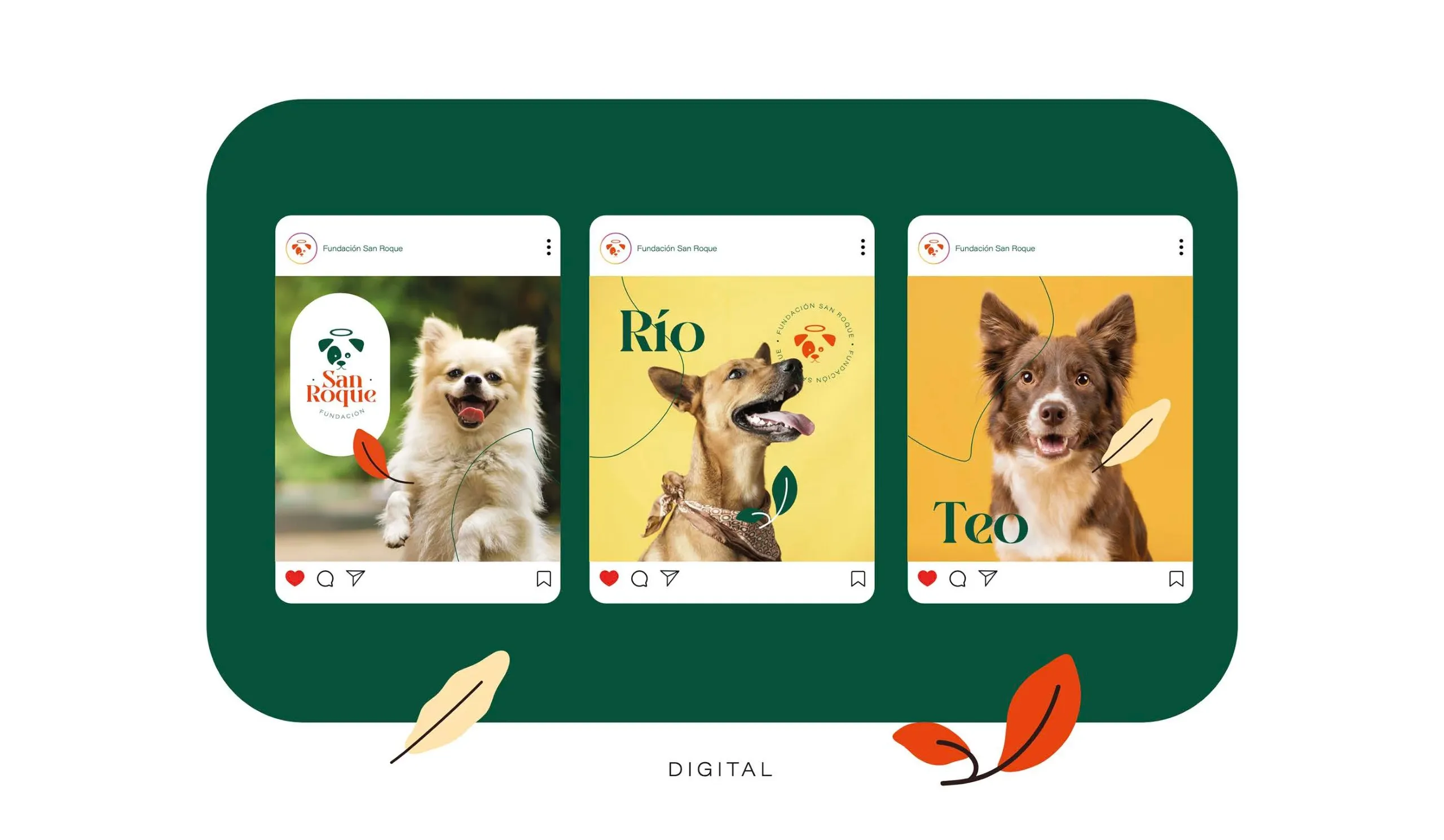Publicaciones de San Roque para redes con perros en adopción